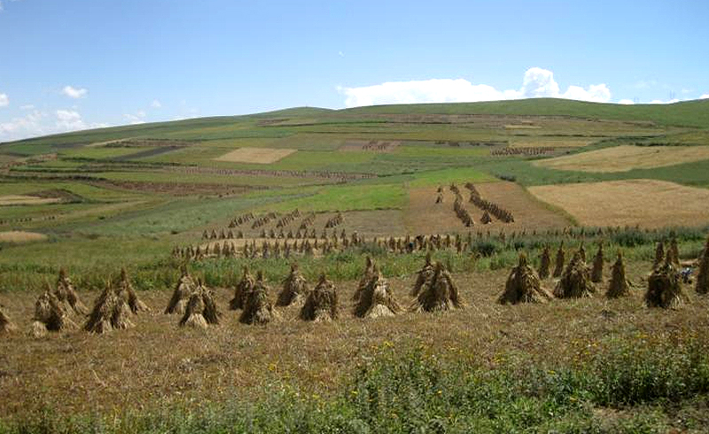 First farming in Tibet