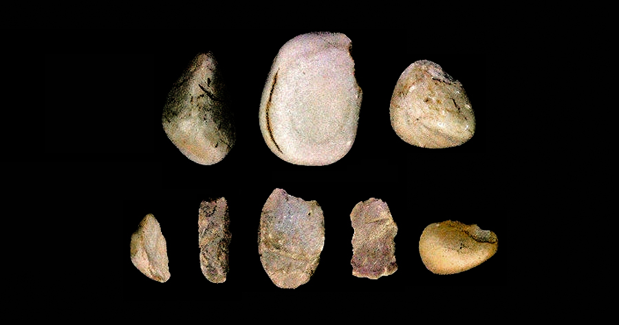 stone tools hominids Homo Ergaster Homo Antecessor