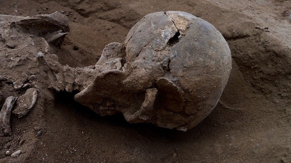 Prehistoric skeleton of a man found at Lake Turkana, Africa