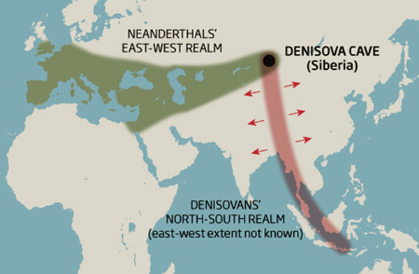 Denisovans Neanderthals