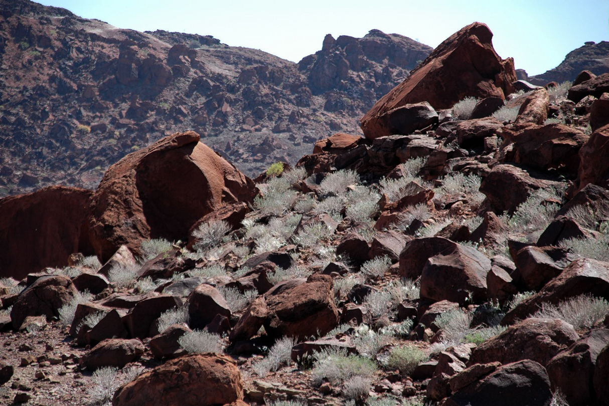The rock art and petroglyph landscape of Twyfelfontein in Namibia, Africa
