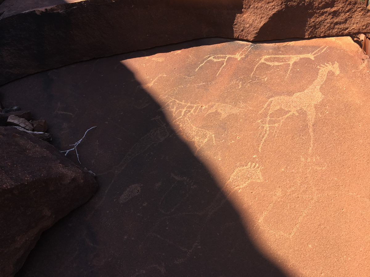 Rock engravings at Twyfelfontein in Namibia, Africa