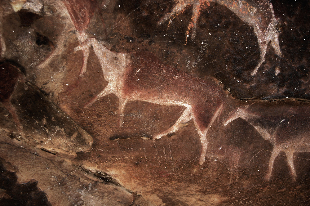 Elands depicted in San rock art