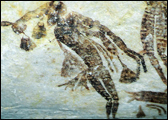 kimberley rock art australia
