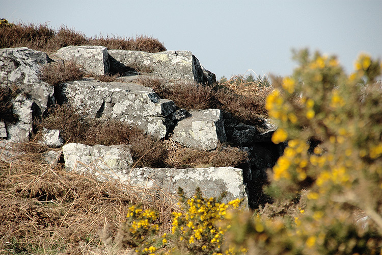 Rock Art Carvings in Northumberland England