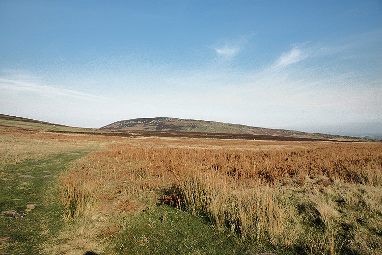 Rock Art Carvings in Northumberland England