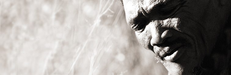 San Bushmen Bushman South Africa