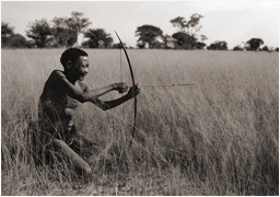 San Bushman Bushmen Tribe South Africa