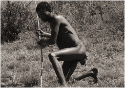 San Bushman Bushmen Tribe South Africa