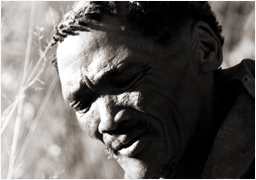 San Bushman Bushmen Tribe South Africa