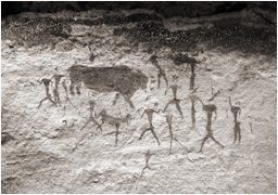 San Bushman Bushmen Tribe South Africa