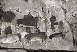 San Bushman Bushmen Tribe South Africa