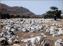 rock art africa