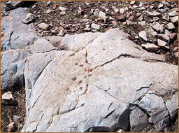 rock art africa