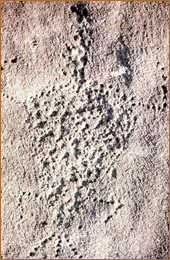 Rock Art Africa