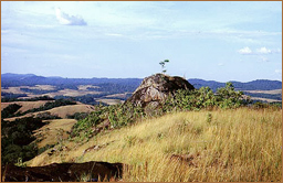 Rock Art Africa