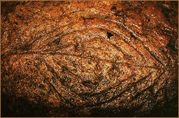 rock art africa