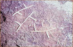 rock art africa