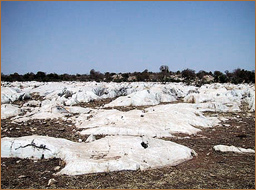 rock art africa