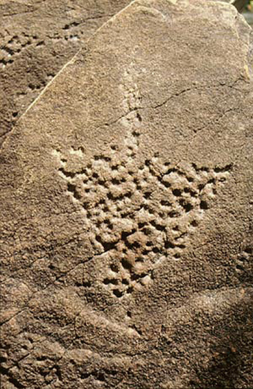 Rock Art Africa