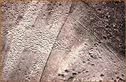 Rock Art Africa