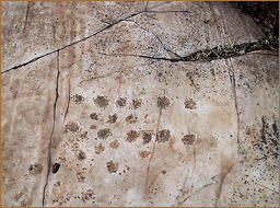 rock art africa