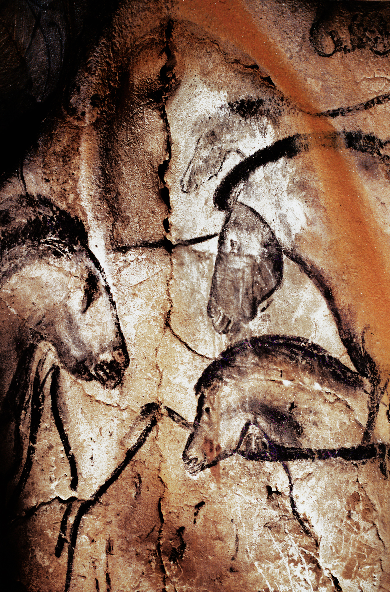 Chauvet Cave Art Horses Painting