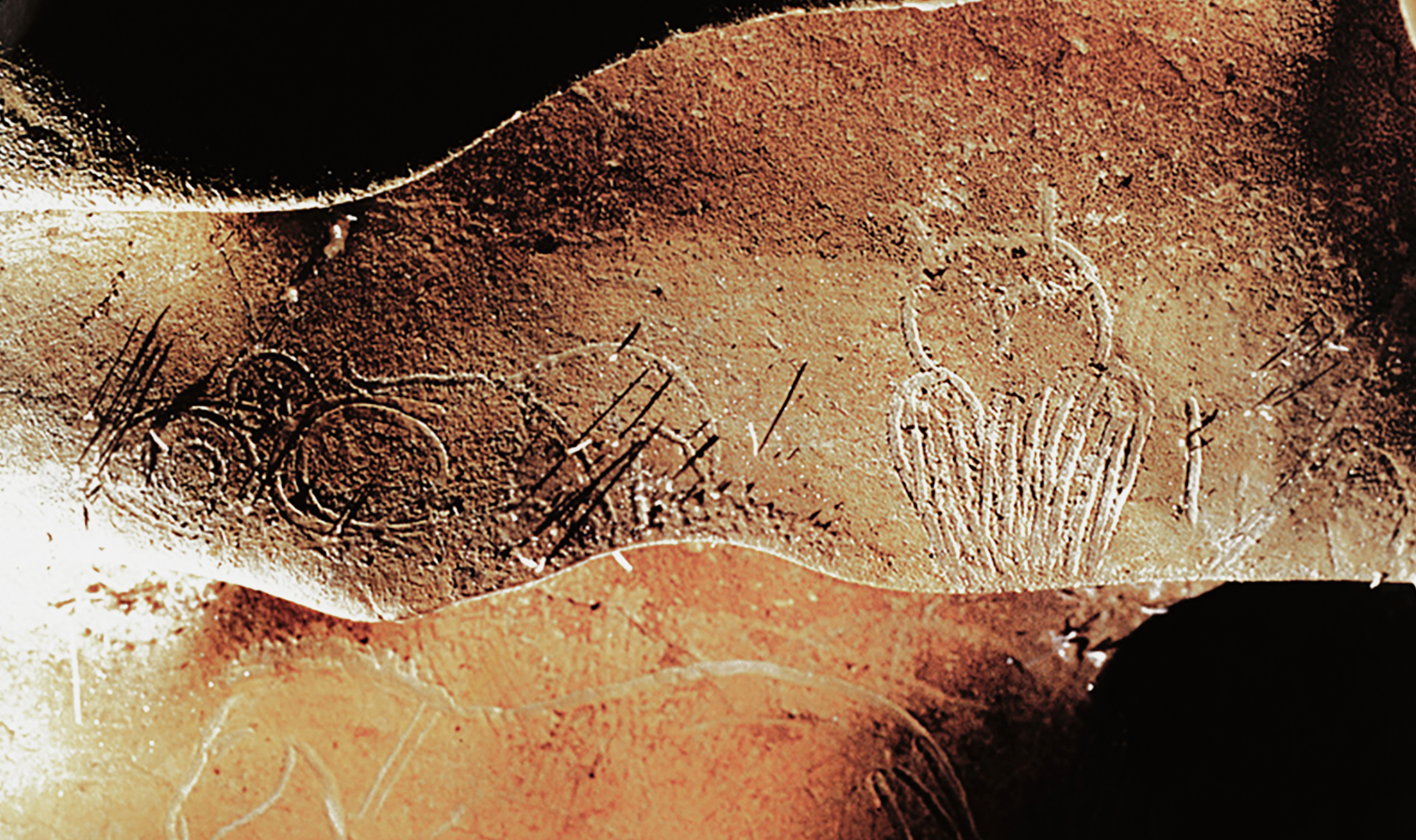 Chauvet Cave Art Owl Painting