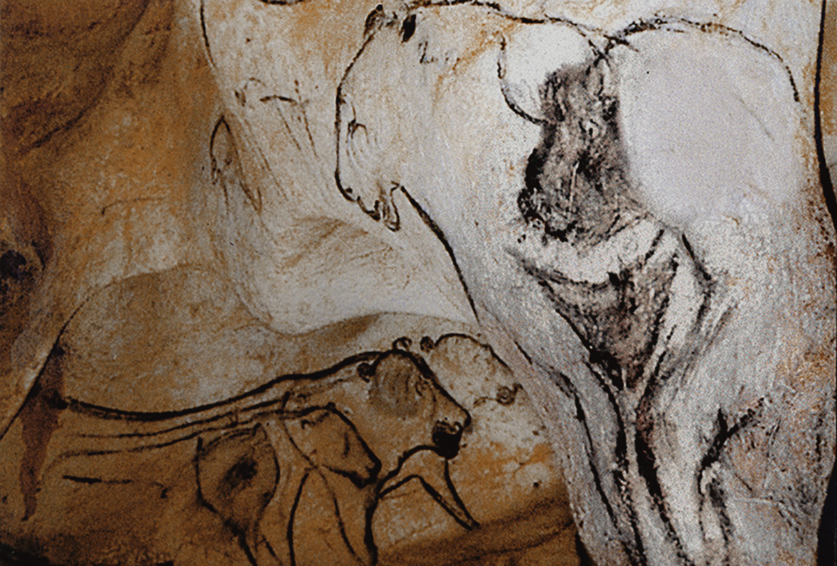 the sorcerer in chauvet cave