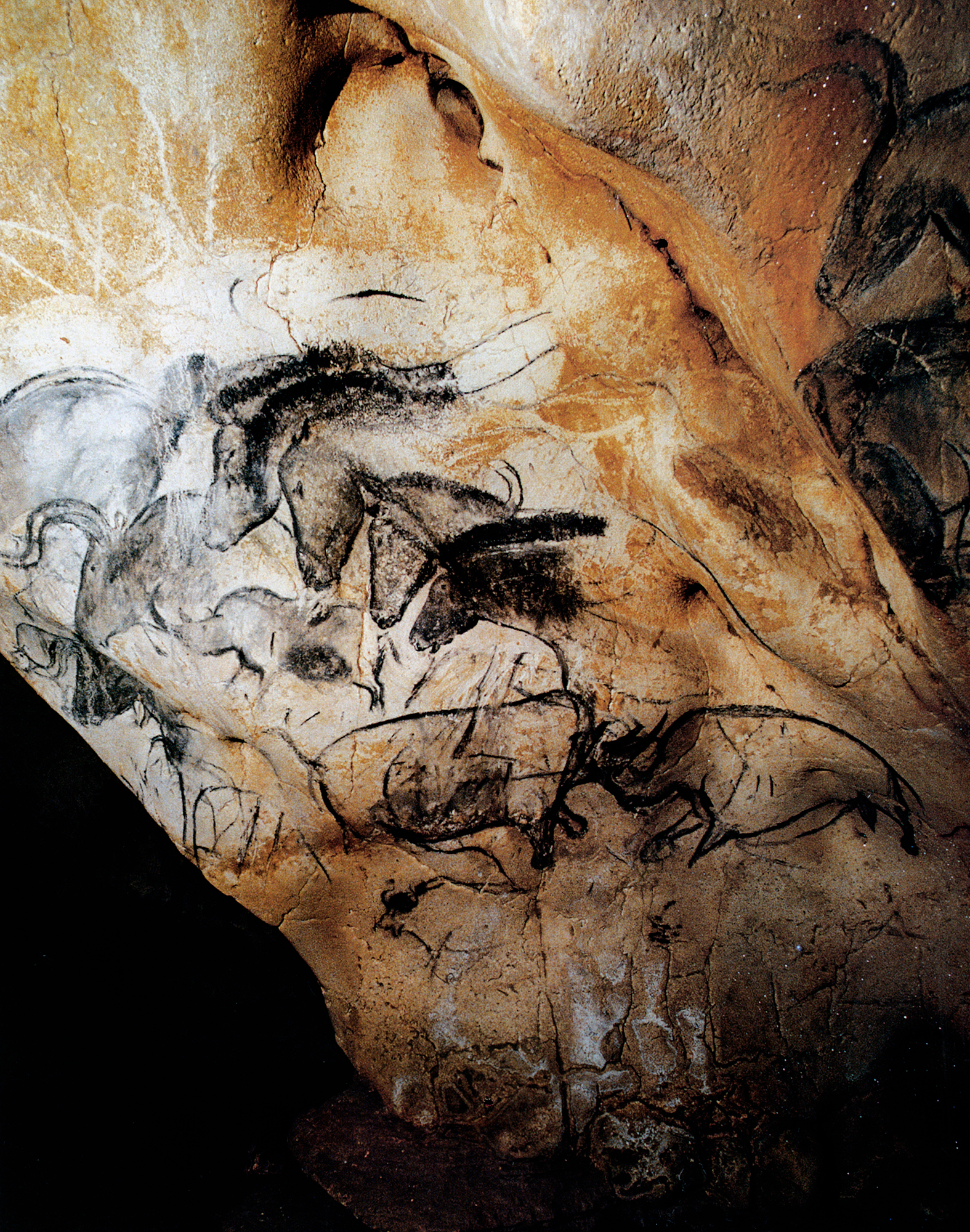 Study of Zoomorphs: A study into cave paintings ( source http://www