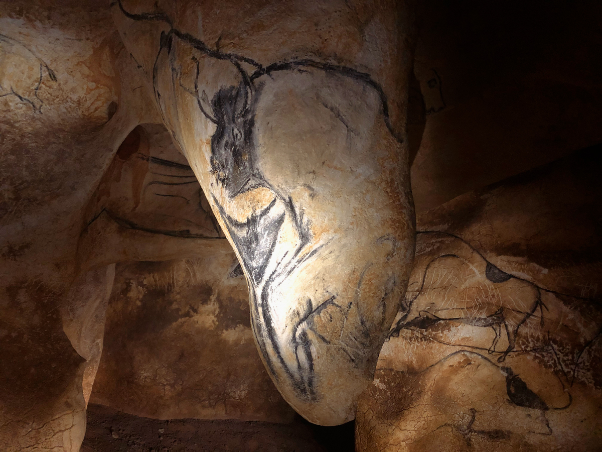 Chauvet Cave Art Paintings Panther