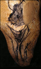 chauvet sorcerer