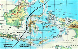 Wallace Line