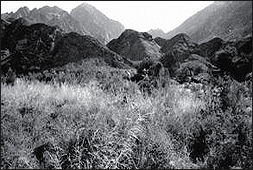 The&nbsp;Mountains of Yunnan Province
