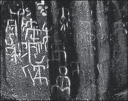 Hua'an rock art engraving