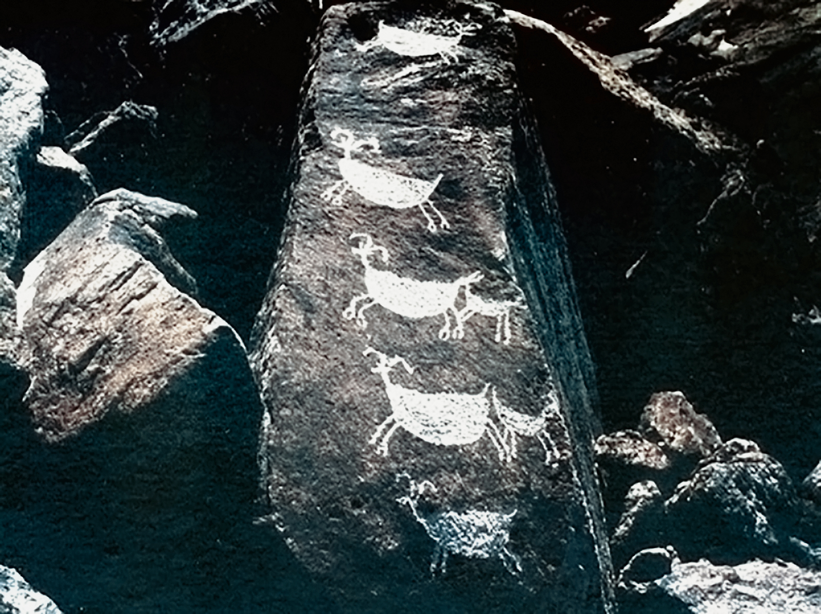 the rock art engravings of the