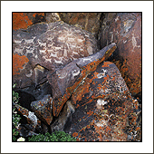 coso range california rock art america