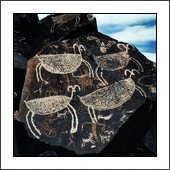 coso range california rock art america