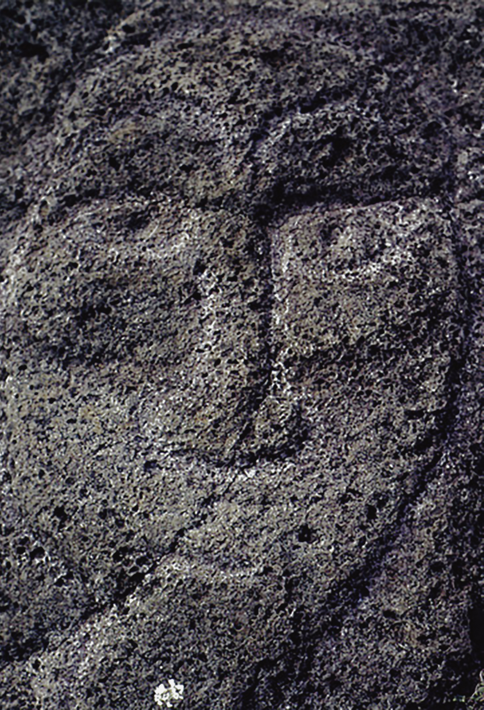 easter island tongariki face