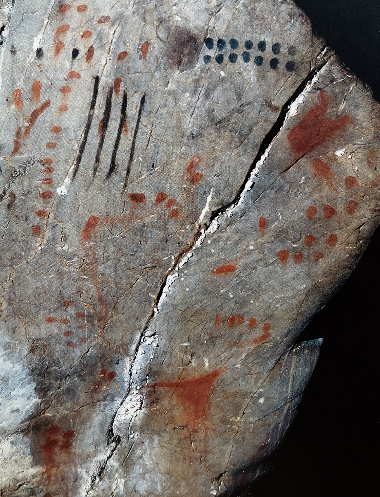 Geometric Signs from Niaux Cave in France