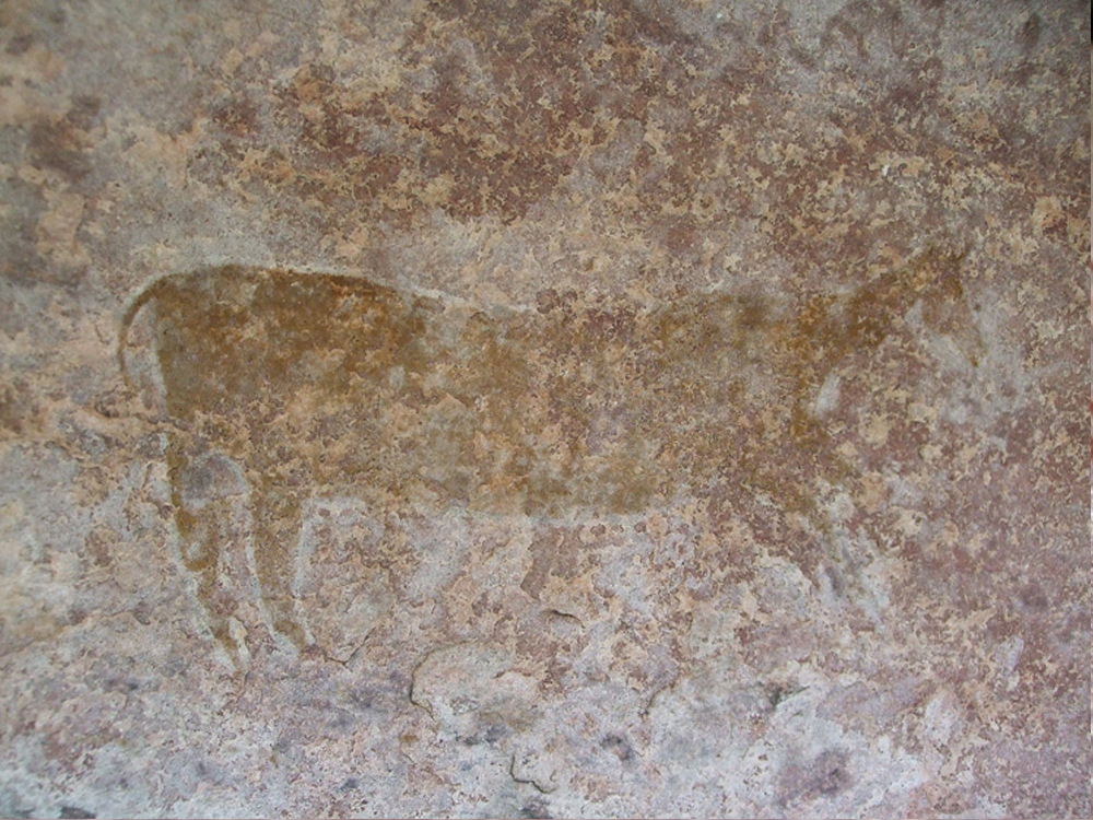 rock art India