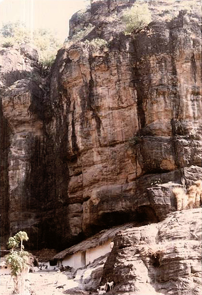 rock art India