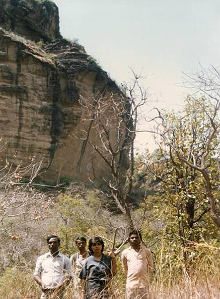 rock art India