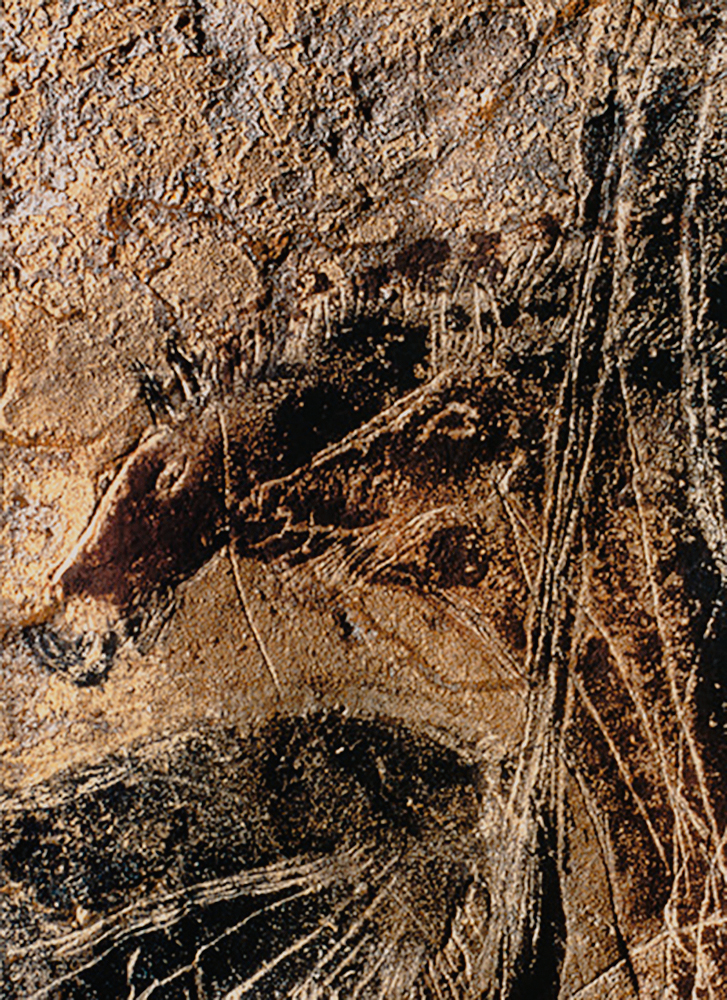 lascaux cave art paintings france