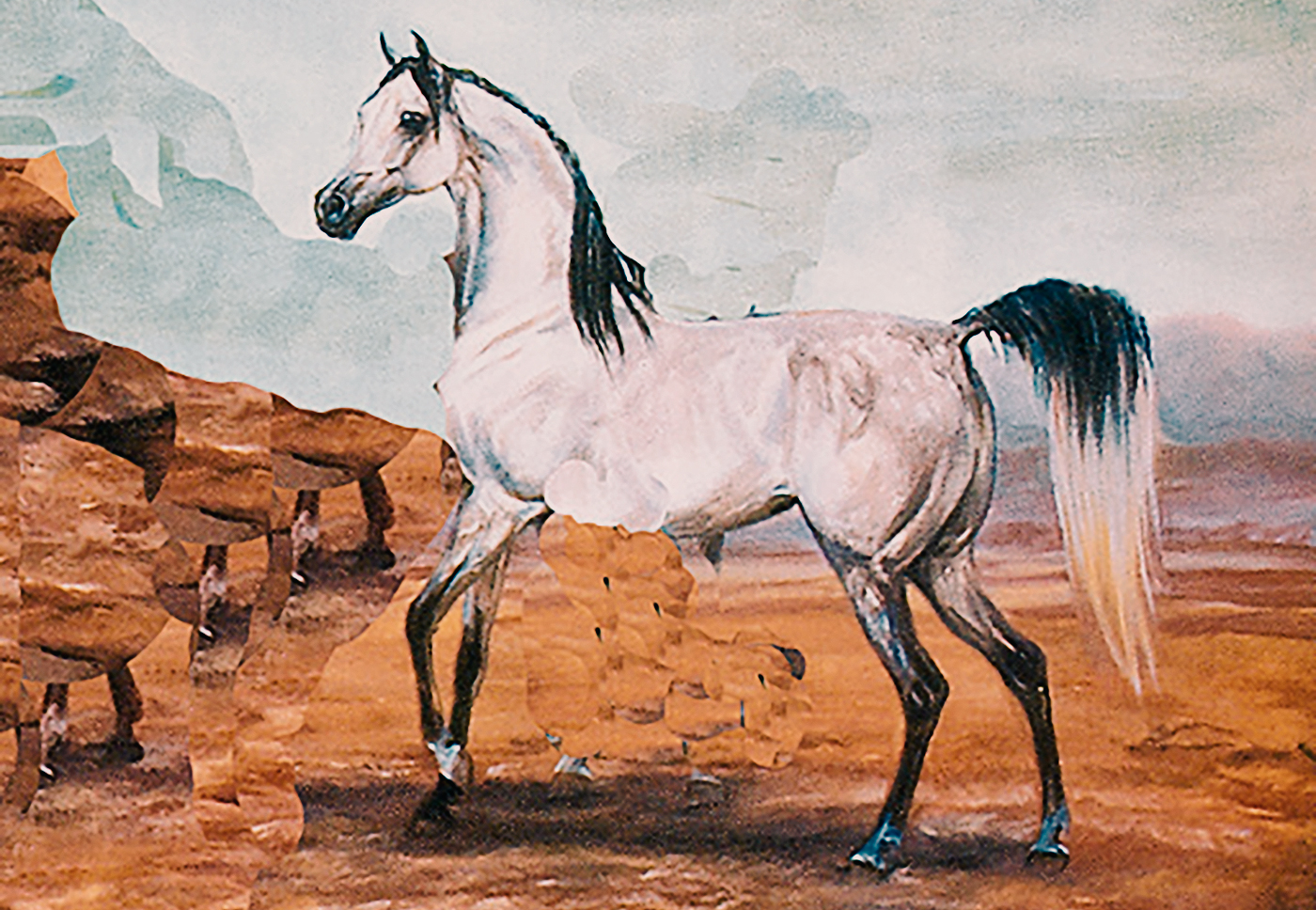 The Arabian Horse