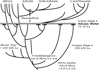 Journal of Human Evolution