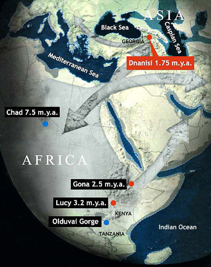 out of africa