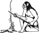 human evolution