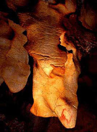 mammoth rock art