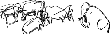 mammoths